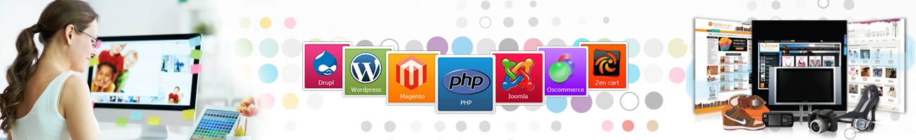 Web Development