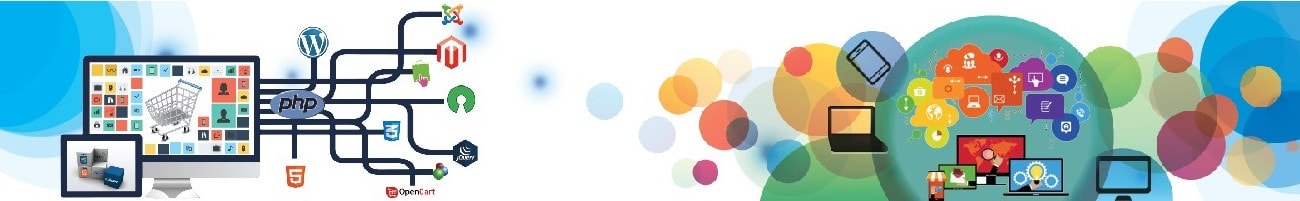 web portal
